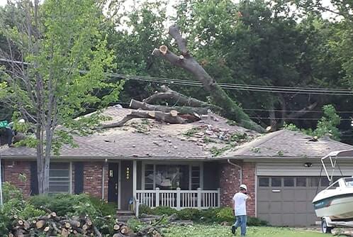 Tree Branch Damage